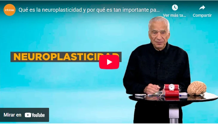 Video neuroplasticidad cerebral